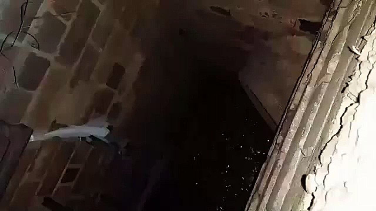 Une femme ne baisse pas les bras avant de sauver un petit chaton coincé dans un collecteur d'eaux.