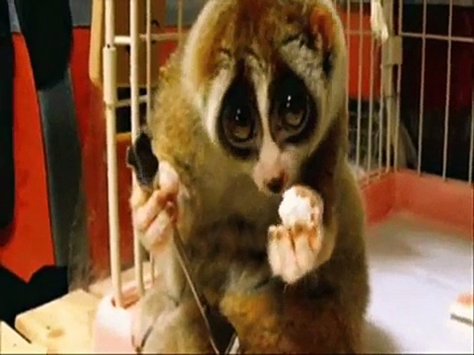 Funny Videos 2015 - Funny Video Clips