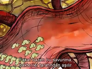 Mutasyonlar ve Doğal seçilim - Bakteri Direnci