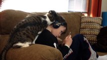 This Cat Really Loves His Boy-Aa33z3pfTM0