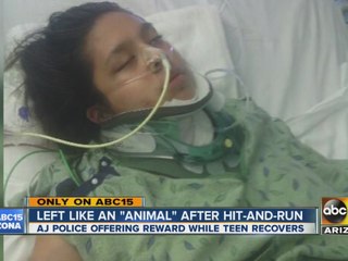 Mom: Girl “left like an animal after hit and run”