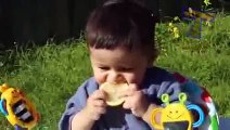 OH cute Babies faces while eating Lemons