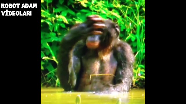 Tayfun Yılmaz Bütün Vineları-2014-2015 (HD)