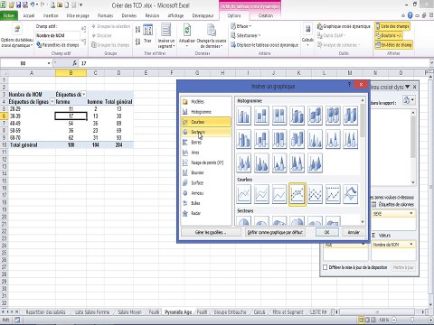 Excel- Les Tableaux Croisés Dynamiques (Module 6)