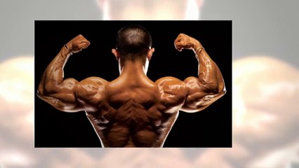 Honest Protein Drink Reviews