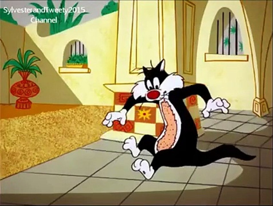 Sylvester and Speedy Gonzales in MEXICAN BOARDERS Part 1 Dailymotion