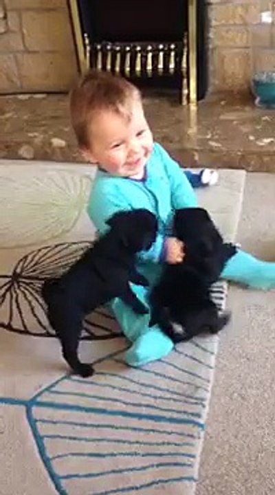 1 Bébé + 2 chiots = Avalanche de Bisous