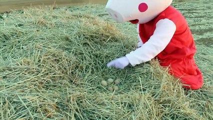 Peppa Pig Giant Egg Surprise - Peppa Pig Toys - Giant Surprise Eggs Unboxing + Kinder Surp