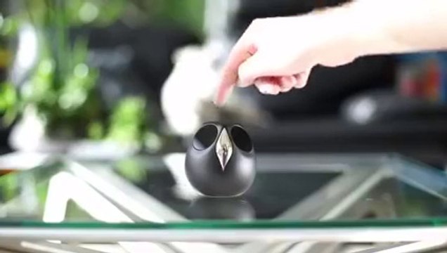 Un espion connecté dans votre maison - Security bird