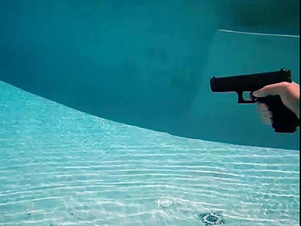 Gun-Guardians