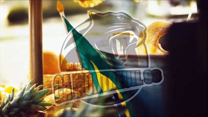 Présentation - Assemblée Générale 2015