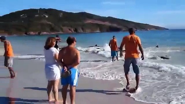 Никто такого не ожидал ! прикол! Prank ! FANNY VIDEO 2015