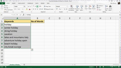 041 Counting the Number of Words in a Cell