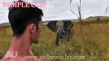 Elefante salvaje ataca a hombre - Elephant attack