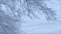 雪 HD (NEW)