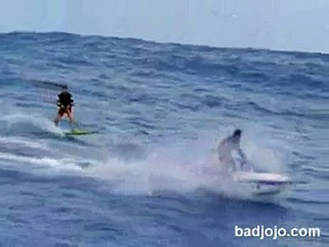 Bu köpeğin en iyi arkadaşı bir yunus - Komik videolar - Funny videos