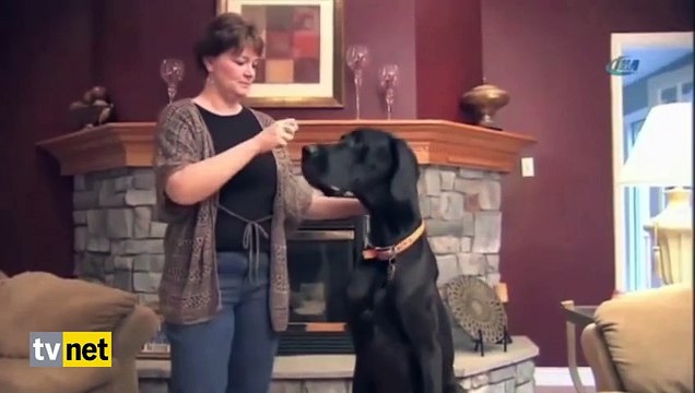 Döner Kesme Makinası - Komik videolar - Funny videos