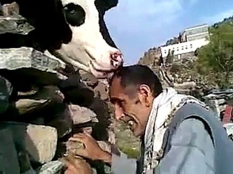 Gelin ile damat salona girerken açan çiçekler muhteşem! - Komik videolar - Funny videos