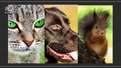 Why-Millennials-Are-Fatter-Than-Their-Parents