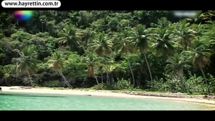 Nihat Doğan , köpek balığına karşı :)