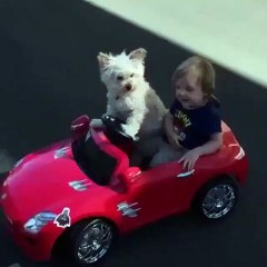 L'illustré - 1, 2, 3... Soleil! ☀️