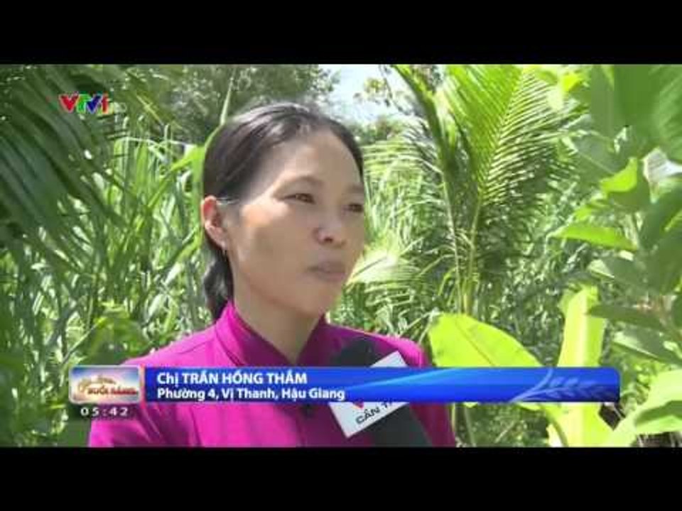 CHÀO BUỔI SÁNG - 01/11/2015