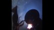 WATCH: Giant Squid Violently Attack A Submarine During Greenpeace Expedition | Amazing Vid