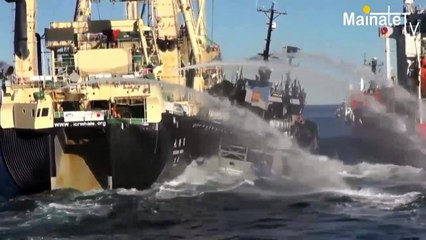 Entretien avec PAUL WATSON fondateur de Sea Shepherd