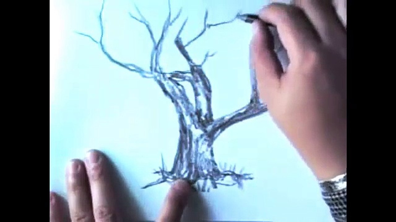 drawing tree