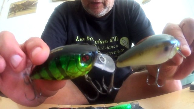 Leurres à brochet et perche : les crank