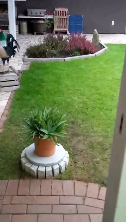 Friend built a hidden fridge in his backyard