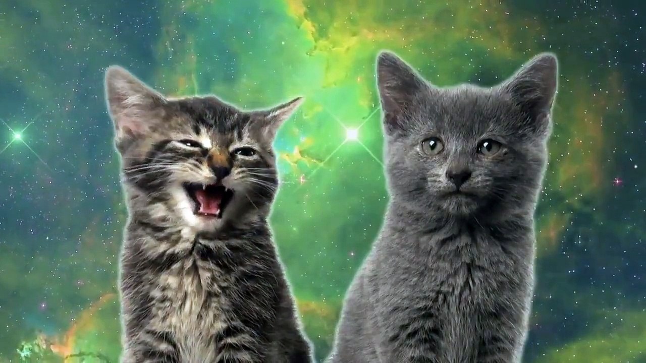 Space Cats Magic Fly
