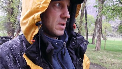 Grizzly bear mother with her 3 cubs