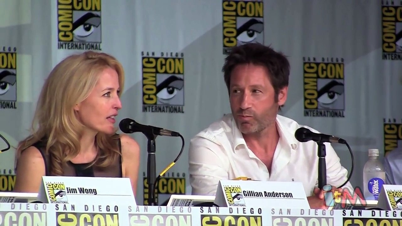 The X Files 20th anniversary reunion panel at San Diego Comic Con 2013