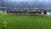 Rugby World Cup - Haka after All Blacks defeat Wallabies in Rugby...