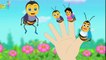 Bee Finger Family | Nursery Rhymes for Kids | HD