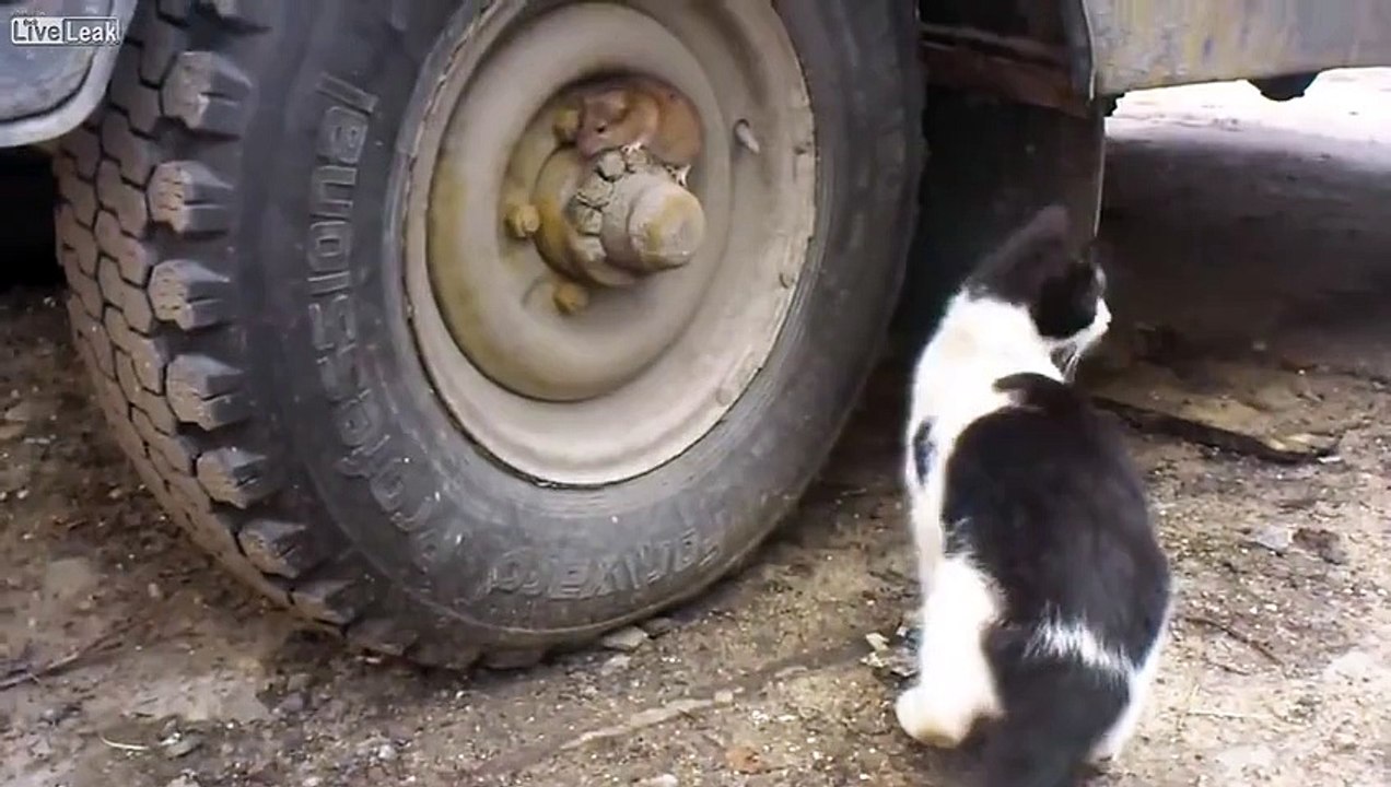 Tom And Jerry