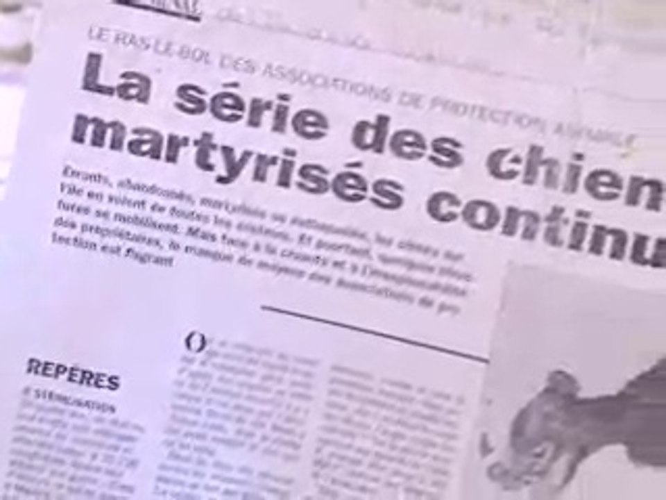 mais quelle bande de batard!