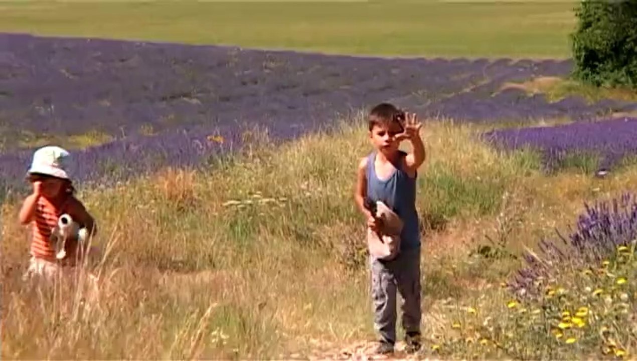 Enfants lavande