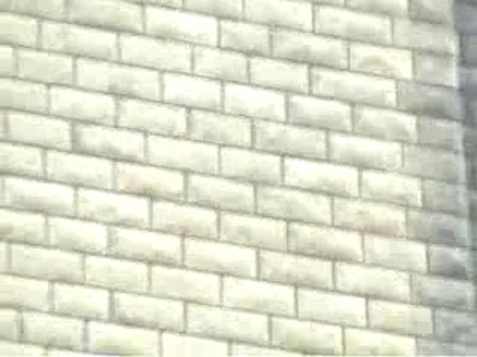 Saut elastique francois