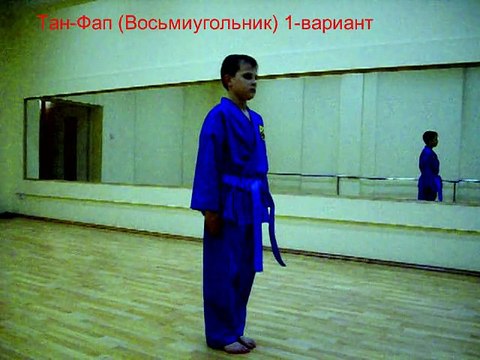 Stavropoliskaya marginal federation VOVINAM VIET VO DAO Russia