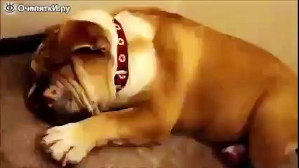 На мужа похож)))