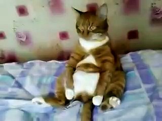 Лучшие мультфильмы для всей семьи 🎬