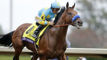 American Pharoah Ends Career with Win