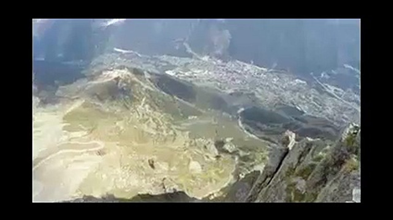 Unless You're This Guy, Don't Fly A Wingsuit Into A Forest