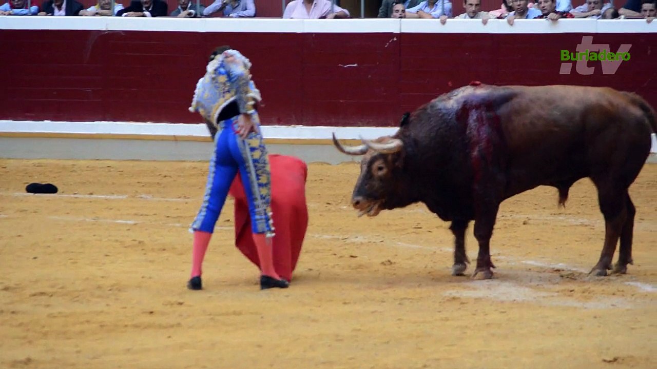 Garrido Logroño 21 sep 2015