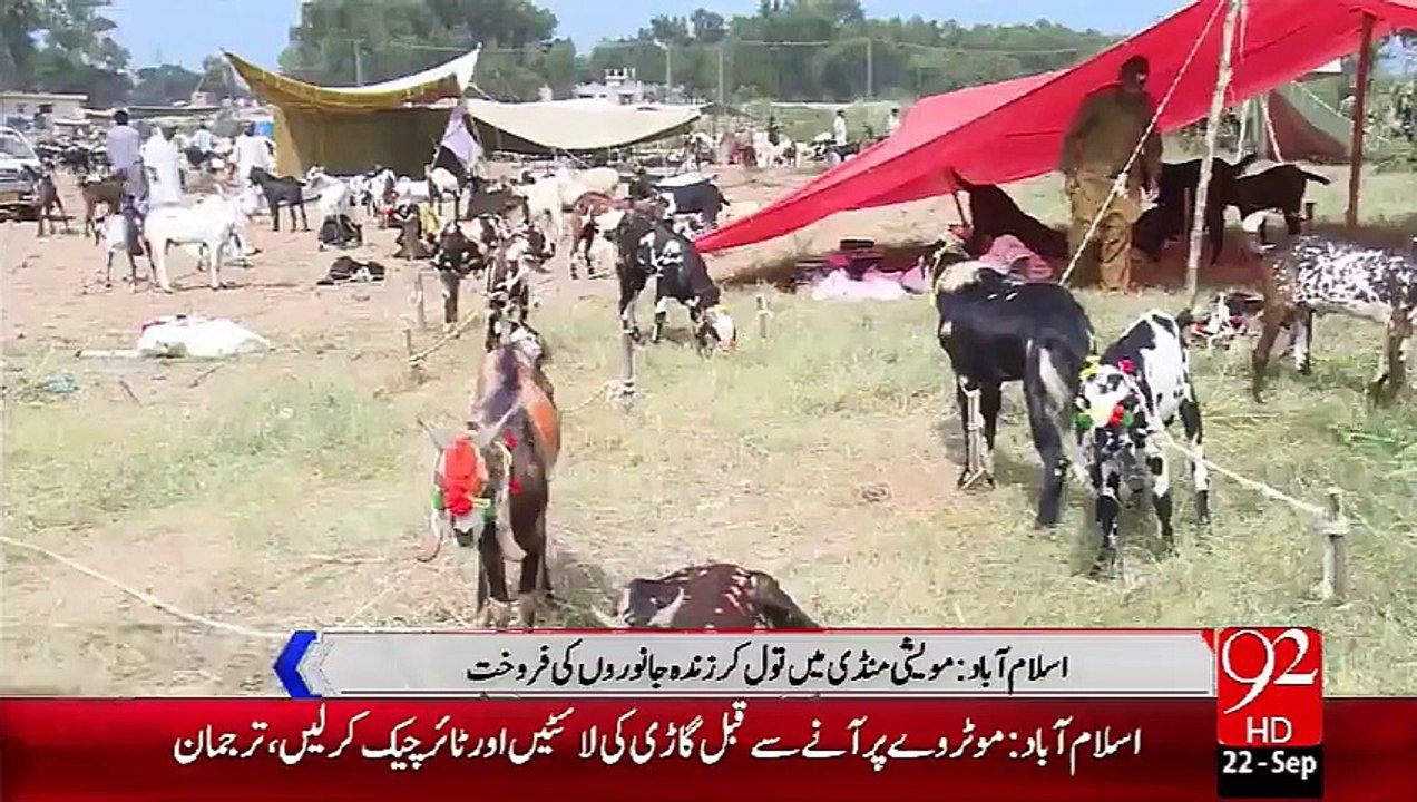 Mowishi mandi main zinda janwar tool kr farokhaat -22 Sep 15 - 92 News HD