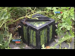 Paper Gun Shoots 5 Bullets