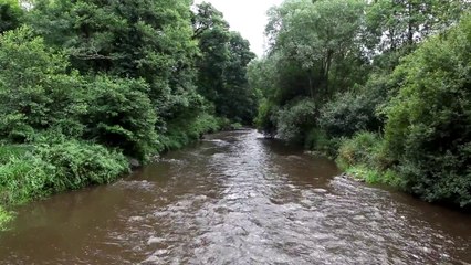 Réhabilitation du site de l’ancienne pisciculture de Traou Léguer