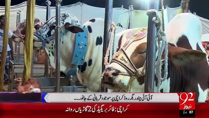 I.I.Chindigarh road per mojoor qurbani ky janwar - 22 Sep 15 - 92 News HD
